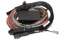 Haltech Elite 1500, 2500 & 2500 T Premium Universal Wire-in Harness Length: 3m (9.8) Length: 3M (9.8)