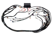Load image into Gallery viewer, Haltech Elite 2000/2500 GM GEN IV LS2 non DBW Term Harness Only EV6
