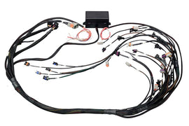 Haltech Elite 2000/2500 GM GEN IV LS2 non DBW Term Harness Only EV6