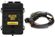 Load image into Gallery viewer, Haltech Elite 2500 + Basic Universal Wire-in Harness Kit 2.5m (8â€™) Length: 2.5m (8)