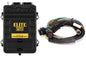 Haltech Elite 2500 + Basic Universal Wire-in Harness Kit 2.5m (8â€™) Length: 2.5m (8)