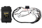 Haltech Elite 2500 GM GEN IV LS2 non DBW Terminated Harness Kit EV1