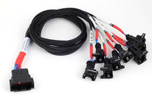 Load image into Gallery viewer, Haltech Nexus V8 Junior Timer (EV1)Secondary Injector Breakout