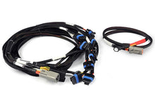 Load image into Gallery viewer, Haltech Nexus V8 IGN-1A Ford Harness