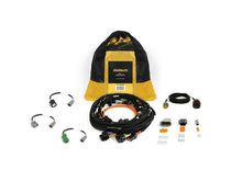 Load image into Gallery viewer, Haltech Nexus Rebel JZ - Main Terminated Harness