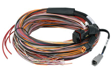 Load image into Gallery viewer, Haltech PD16 Wire-in harness - 5M / 16FT Length: 5M / 16FT