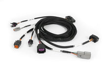 Load image into Gallery viewer, Haltech Nexus Plug-in DBW Expansion Harness 2.5m (8)