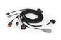 Haltech Nexus Plug-in DBW Expansion Harness 2.5m (8)