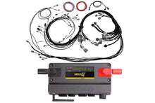 Load image into Gallery viewer, Haltech Nexus R5 VCU + Universal V8 Terminated Harness