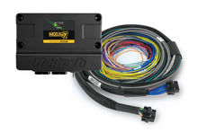 Load image into Gallery viewer, Haltech Nexus S2 ECU + Universal Wire-in Harness - 2.5m (8)