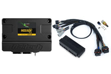Load image into Gallery viewer, Haltech Nexus S2 Plug n Play Adapter Harness Kit - Subaru WRX MY99-00