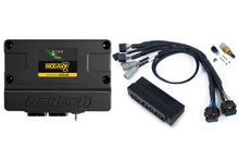 Load image into Gallery viewer, Haltech Nexus S2 Plug n Play Adapter Harness Kit - Mazda RX7 FD S7 &amp; 8