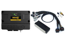 Load image into Gallery viewer, Haltech Nexus S3 Plug n Play Adapter Harness Kit - Honda DC5