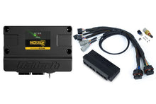 Load image into Gallery viewer, Haltech Nexus S3 Plug n Play Adapter Harness Kit - Subaru WRX MY99-00