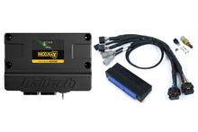 Load image into Gallery viewer, Haltech Nexus S3 Plug n Play Adapter Harness Kit - Nissan Patrol Y60 Auto