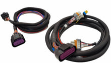 Load image into Gallery viewer, Harness - LS Ignition Control Box