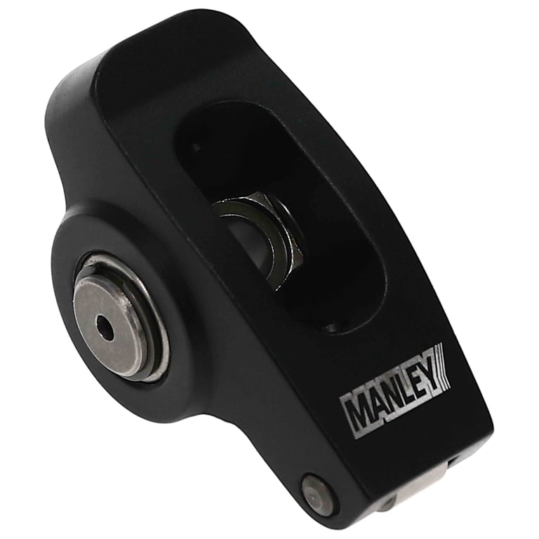 Manley_433961-16_ANG45_P04.jpg
