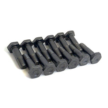 Load image into Gallery viewer, NAS_Hex_Bolts_12pk.jpg