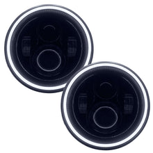 Load image into Gallery viewer, ORA5769-001.jpg