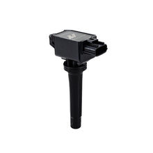 Load image into Gallery viewer, User 1