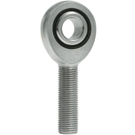 Photo - Primary