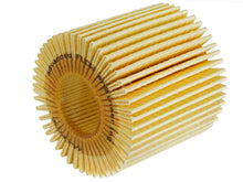 Load image into Gallery viewer, Photo - Unmounted