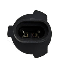 Load image into Gallery viewer, Photo - Unmounted