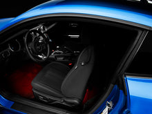 Load image into Gallery viewer, Photo - Close Up