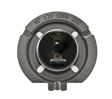 Load image into Gallery viewer, Photo - Primary