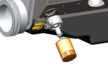 Load image into Gallery viewer, 15731-Illustration.jpg