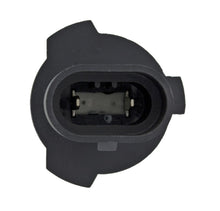 Load image into Gallery viewer, Photo - Unmounted