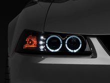 Load image into Gallery viewer, Photo - Close Up