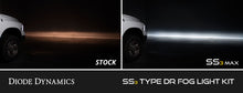 Load image into Gallery viewer, Diode Dynamics 02-08 Dodge Ram 1500/2500/3500 SS3 Fog Light Kit - Yellow Pro