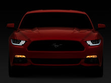 Load image into Gallery viewer, Photo - Close Up