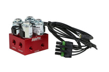 Load image into Gallery viewer, Photo - Primary