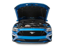 Load image into Gallery viewer, Photo - Close Up