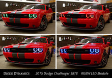 Load image into Gallery viewer, User 4