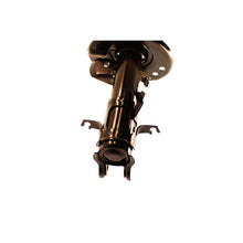 Load image into Gallery viewer, Photo - out of package