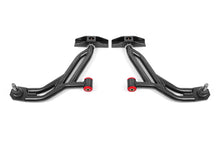 Load image into Gallery viewer, Photo - Primary