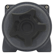 Load image into Gallery viewer, Photo - Unmounted