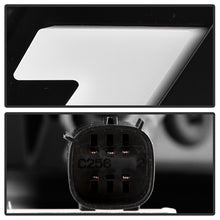 Load image into Gallery viewer, Photo - Unmounted