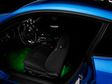 Load image into Gallery viewer, Photo - Close Up