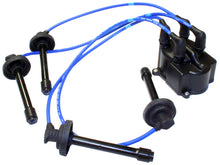 Load image into Gallery viewer, Photo - Primary