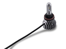 Load image into Gallery viewer, Photo - Close Up