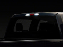 Load image into Gallery viewer, Photo - Close Up