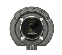 Load image into Gallery viewer, Photo - Close Up