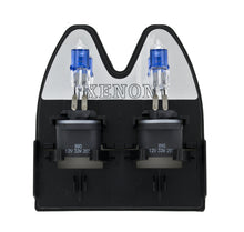 Load image into Gallery viewer, Photo - in package