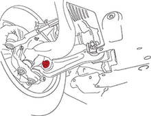 Load image into Gallery viewer, Line Art