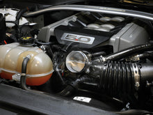 Load image into Gallery viewer, Photo - Mounted