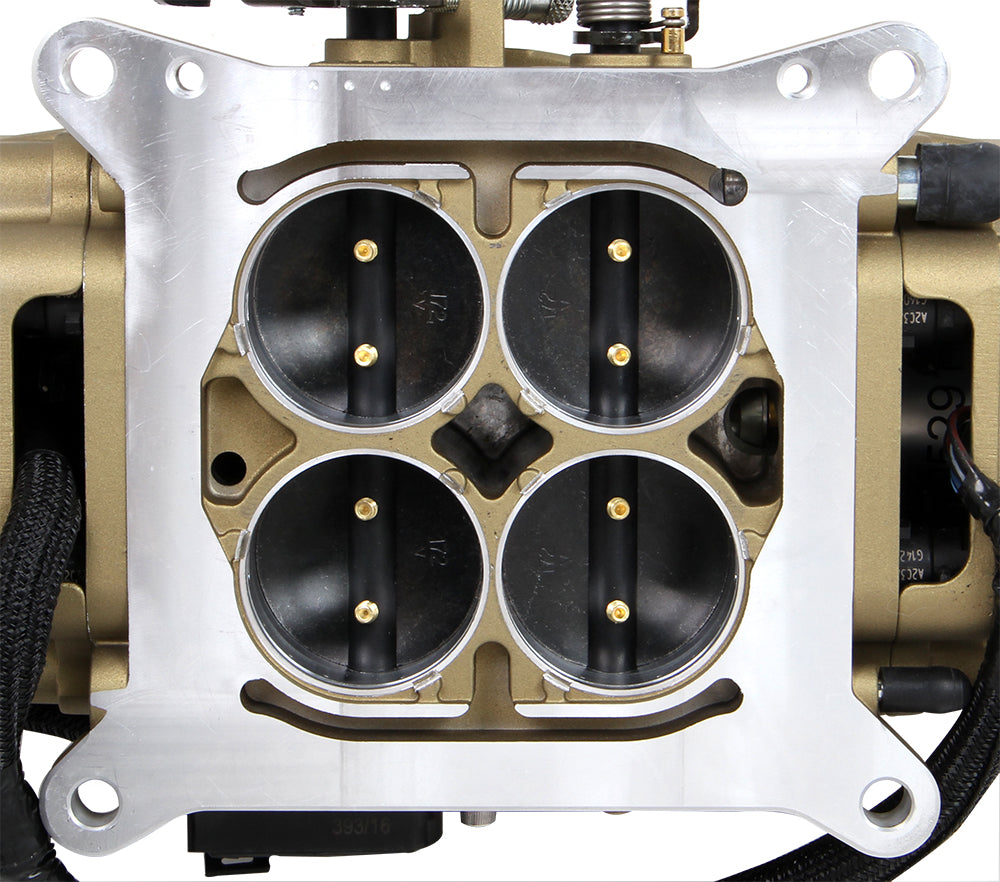 bottomview.jpg